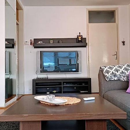 Spacious Condo Near Bascarsija - Free Parking Сараево Екстериор снимка
