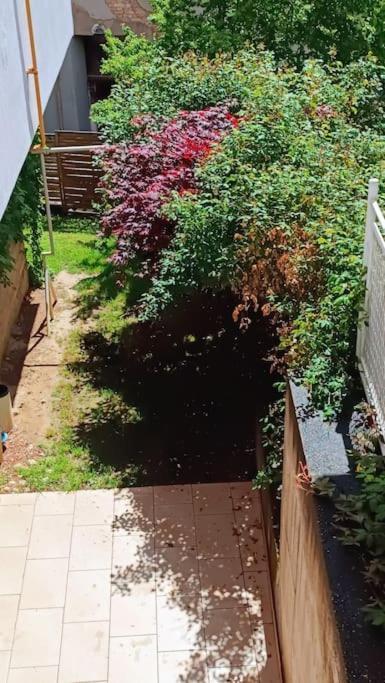 Spacious Condo Near Bascarsija - Free Parking Сараево Екстериор снимка